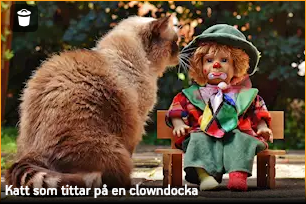 Yleiskuva kuvapankista.