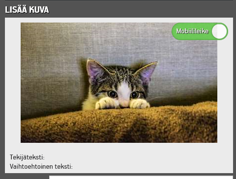 Vaihtoehtoinen leike mobiililaitteille