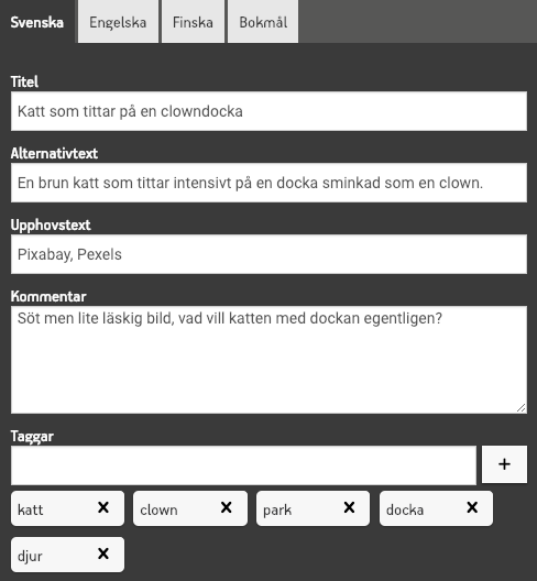 Översikten i bildbanken.