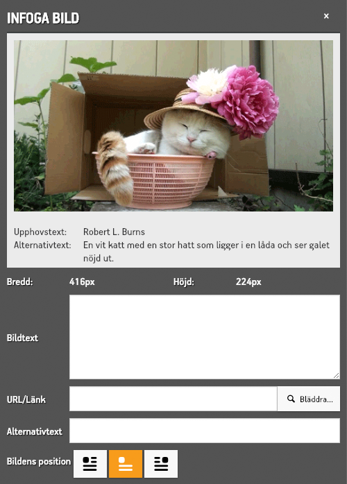Inställningar för Infoga bild