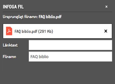 Inställningar för Infoga fil